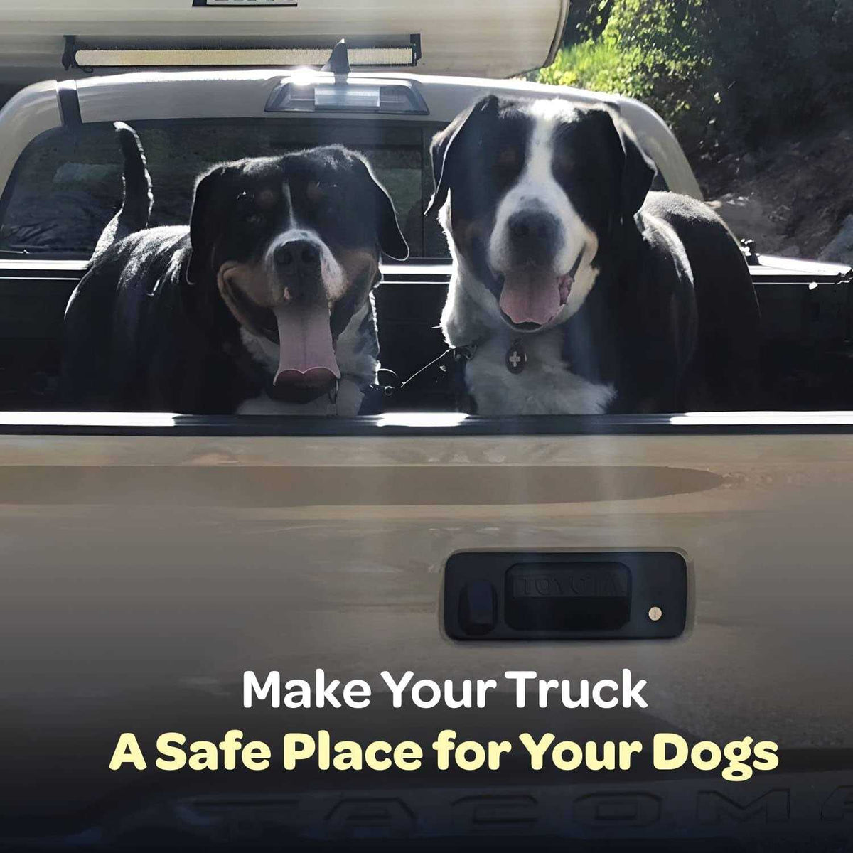 Dog Truck Bed Leash Tether P642