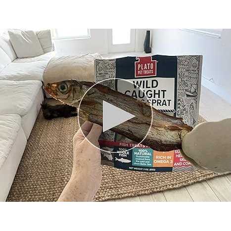 Baltic Herring Dog F64469