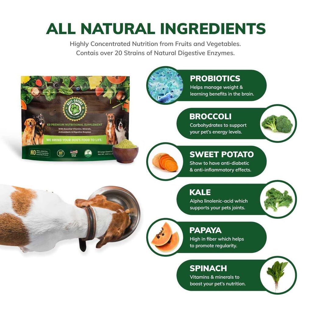 Vitamin & Mineral Supplement O373320