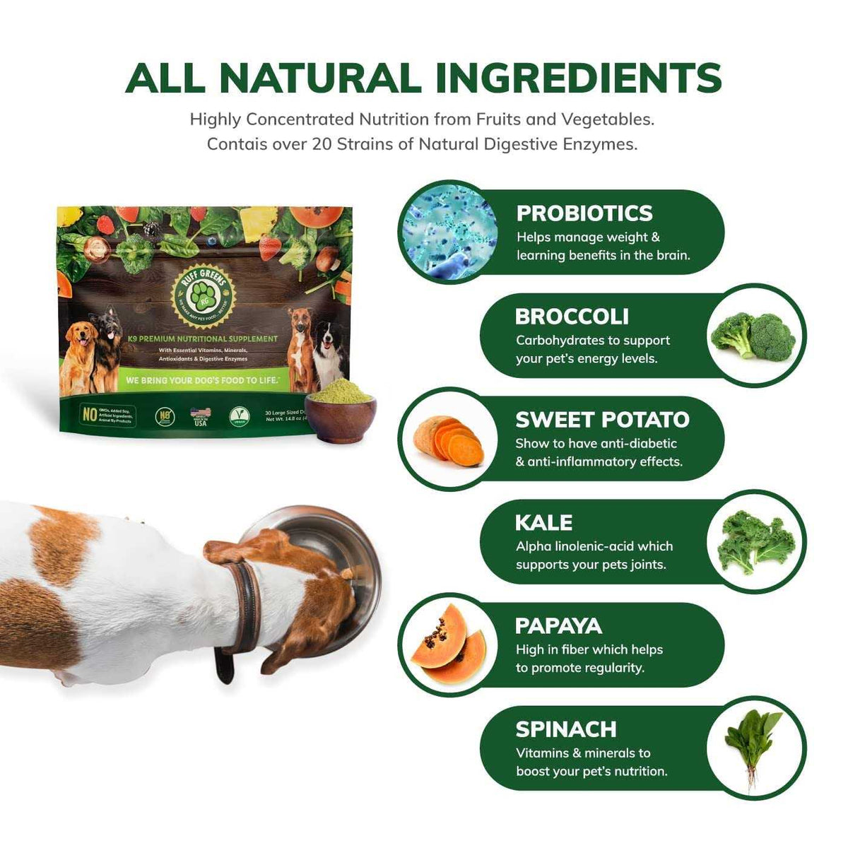 Vitamin & Mineral Supplement O373320