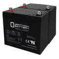 12V 55Ah Battery 2 Pack Q305
