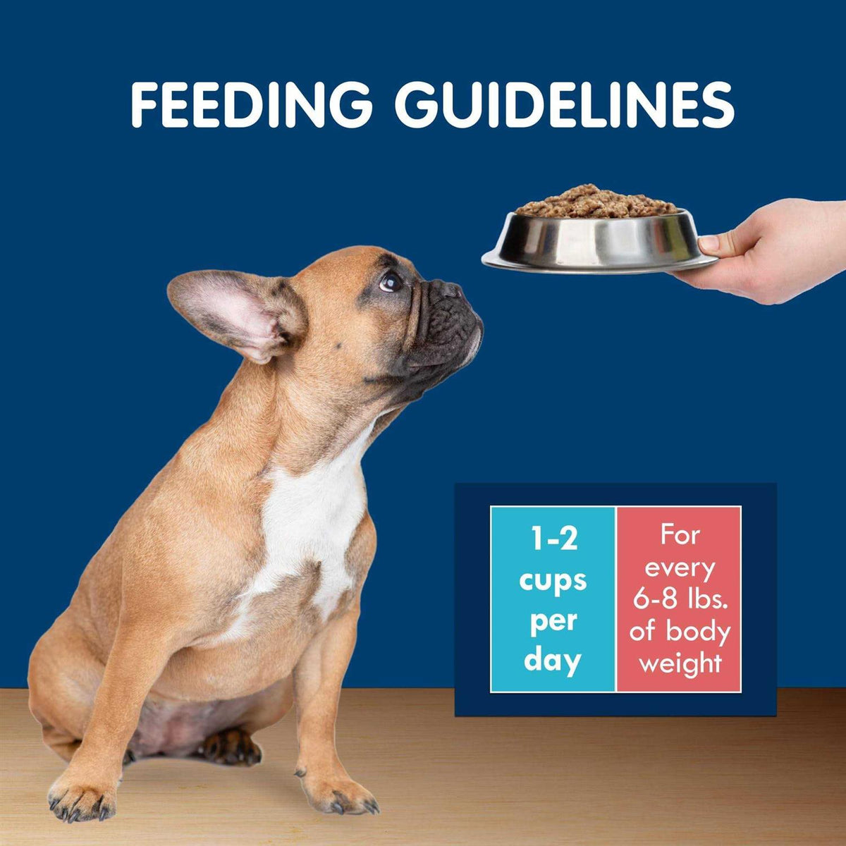 Grain-Free Chicken Wet Dog Food Variety Pack A56419