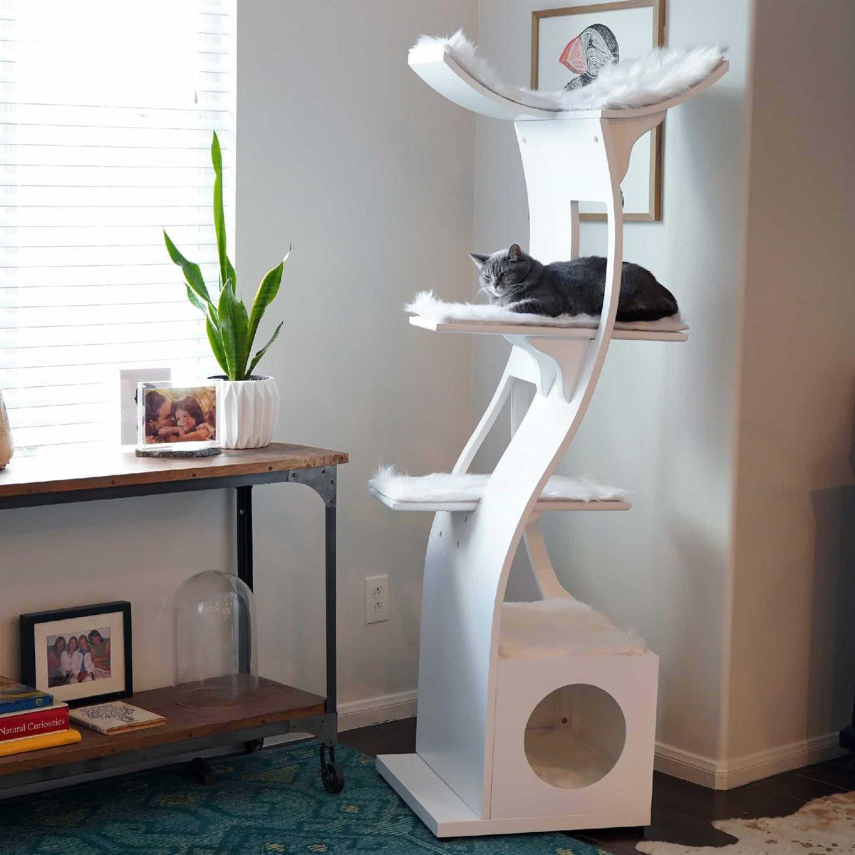Cat Tree O42321