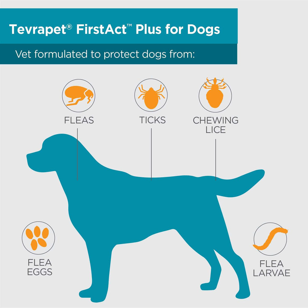 Flea and Tick Prevention Dogs W222555