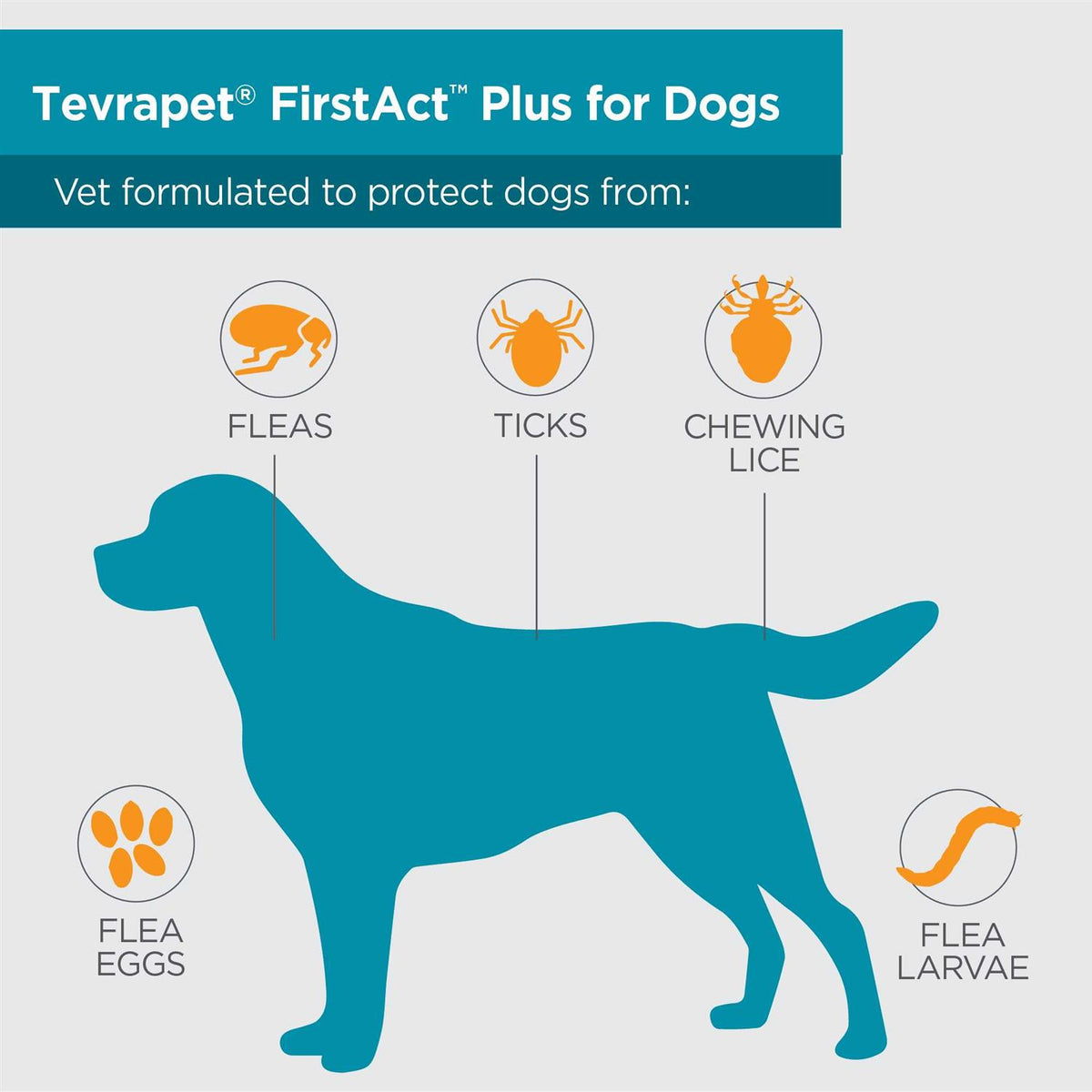 Flea and Tick Prevention Dogs W222555