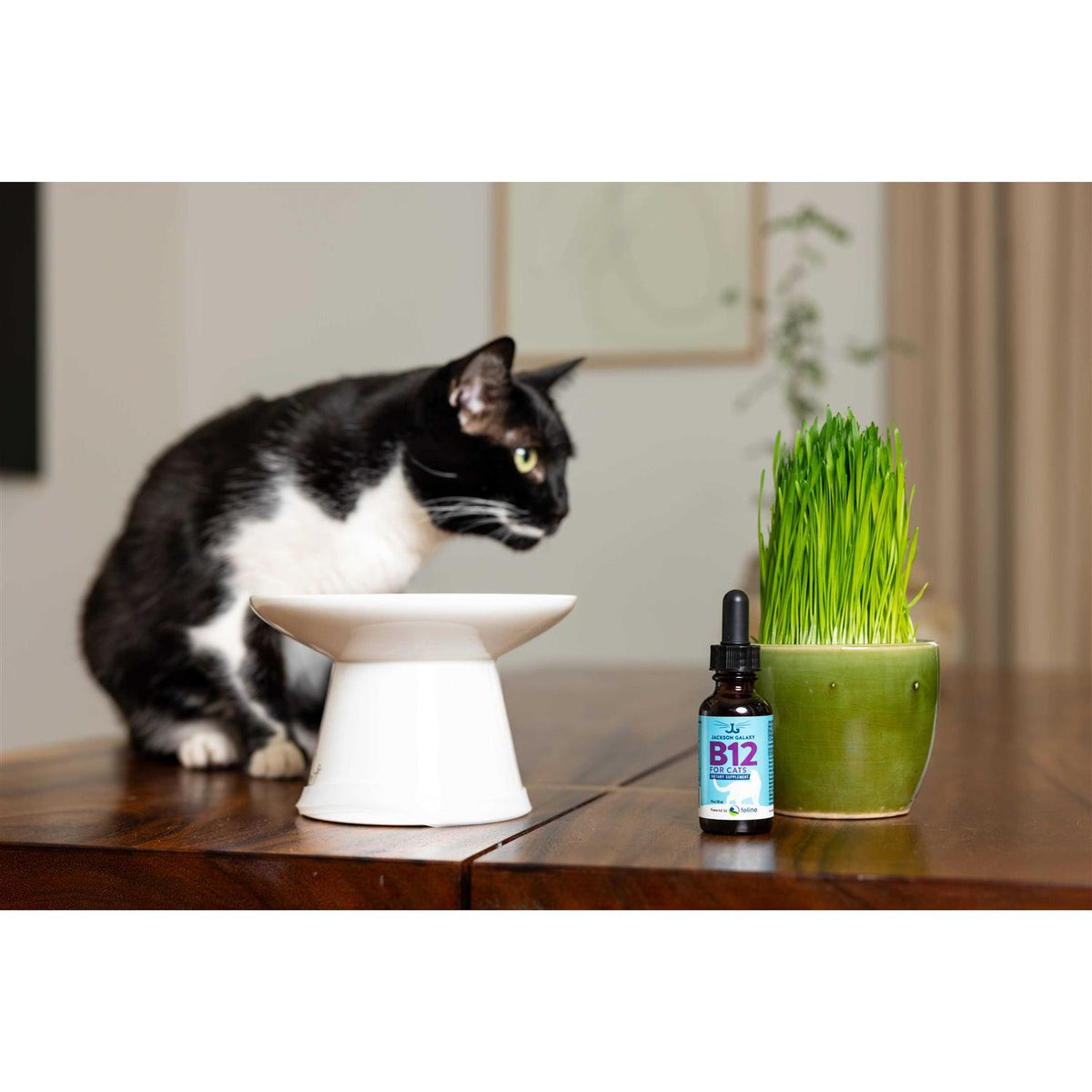 B12 for Cats Dietary Supplement X165