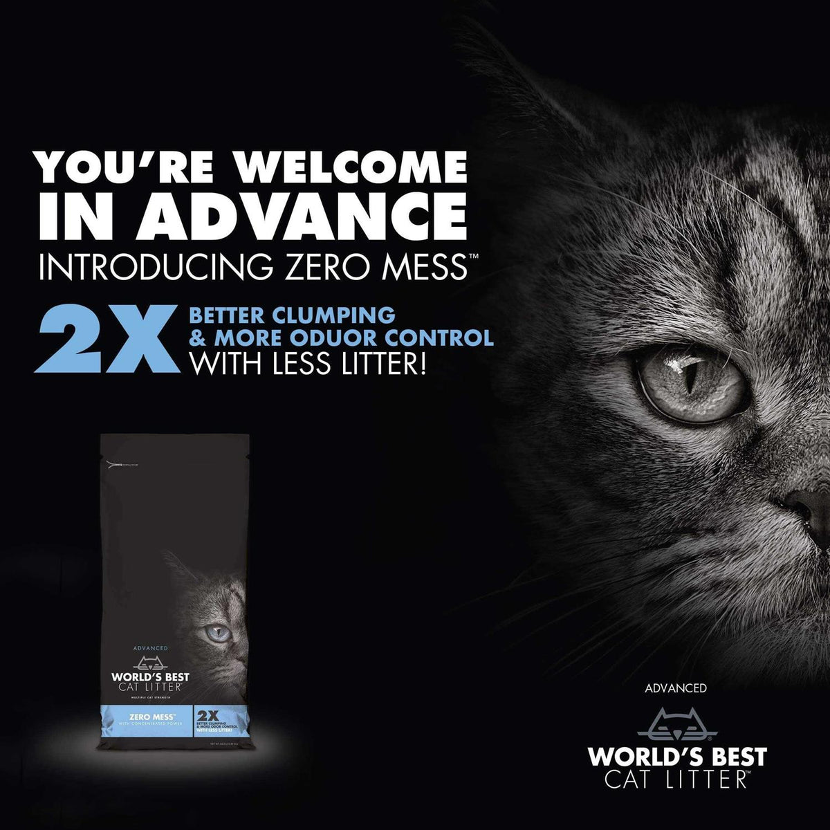 Advanced Zero Mess Cat Litter Y4656