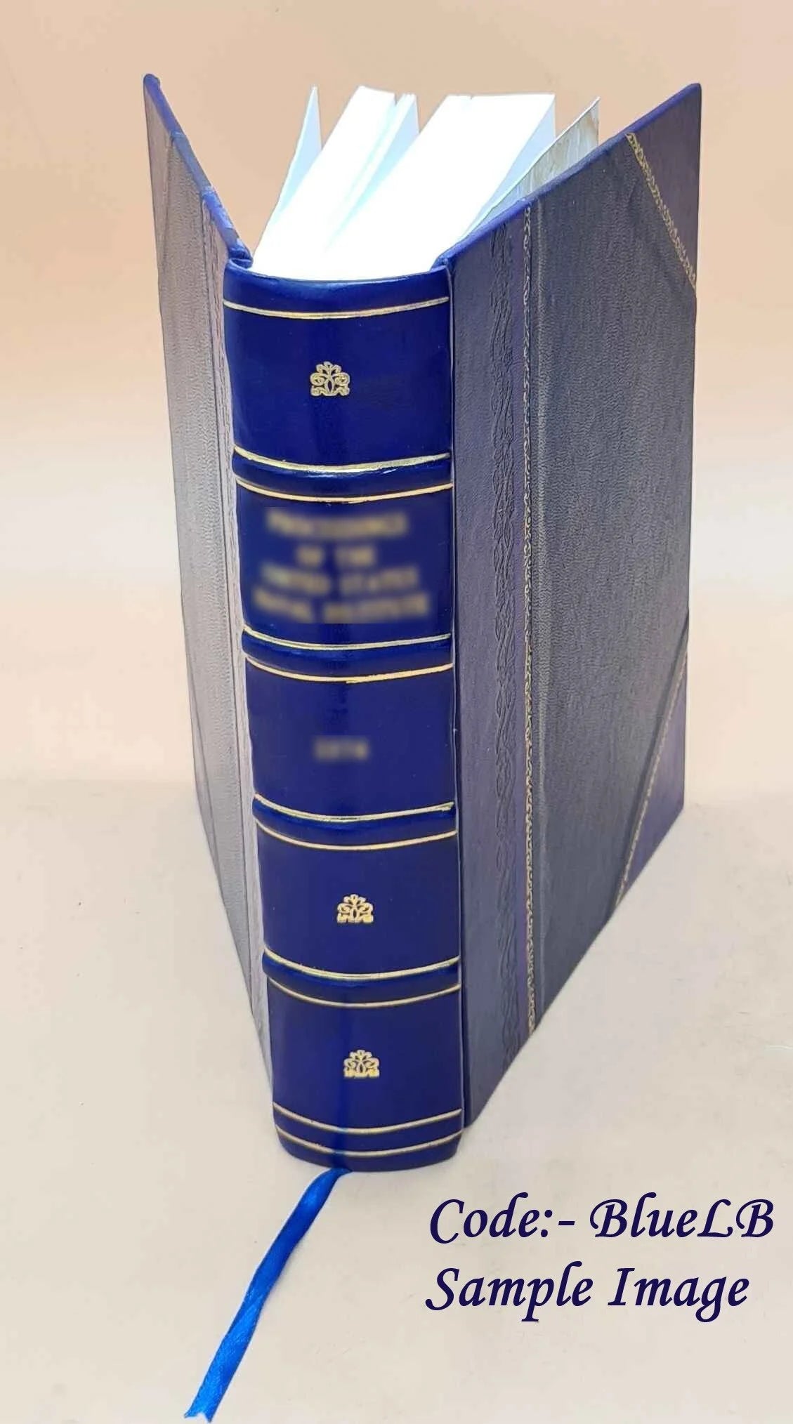 Leather Book Z274