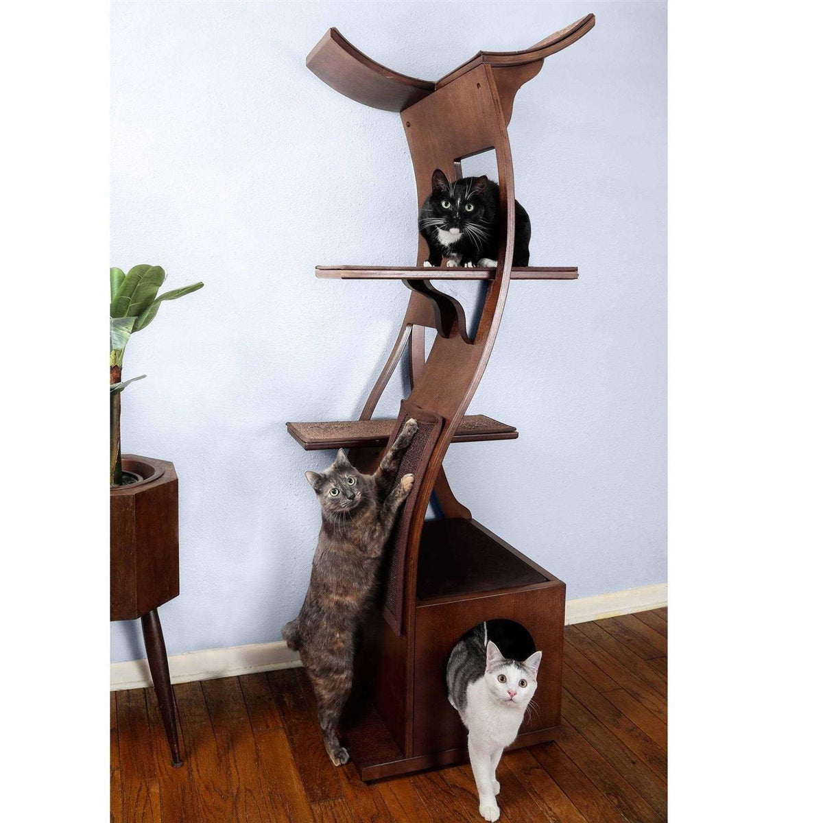Cat Tree O42321