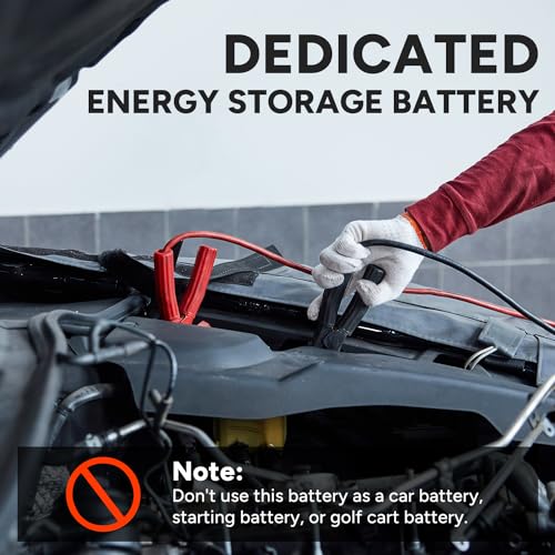 12V 100Ah LiFePO4 Battery (4 Pack) T61017