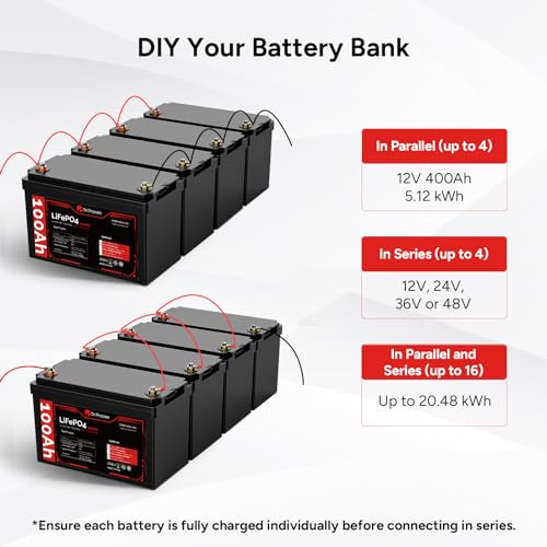 12V 100Ah LiFePO4 Battery (4 Pack) T61017