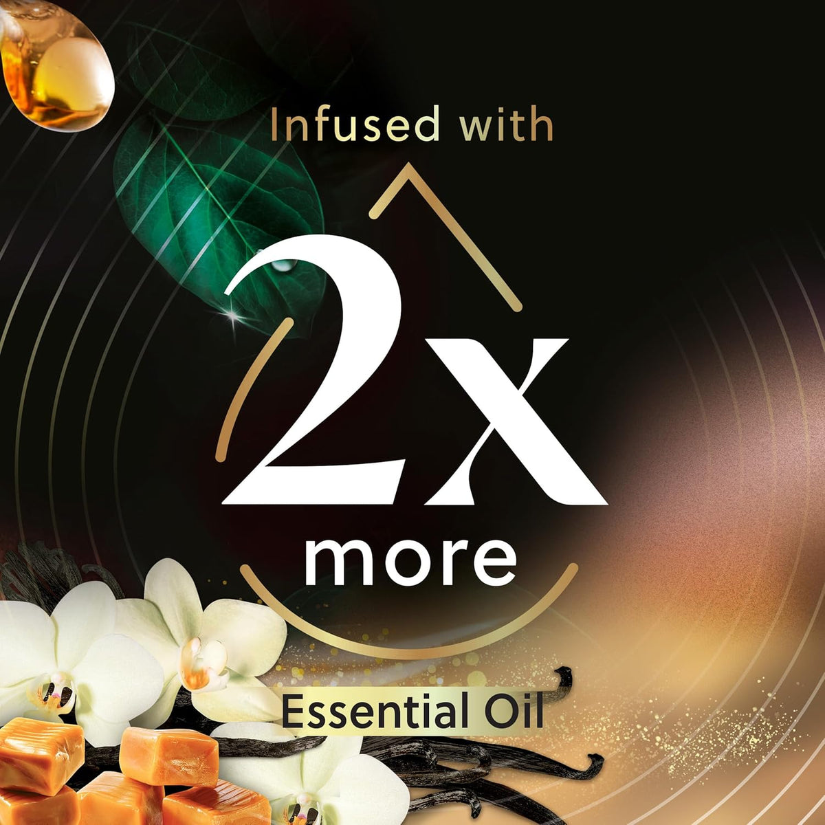 Cozy Vanilla & Caramel Scented Oil Refill, 2 ct D42879