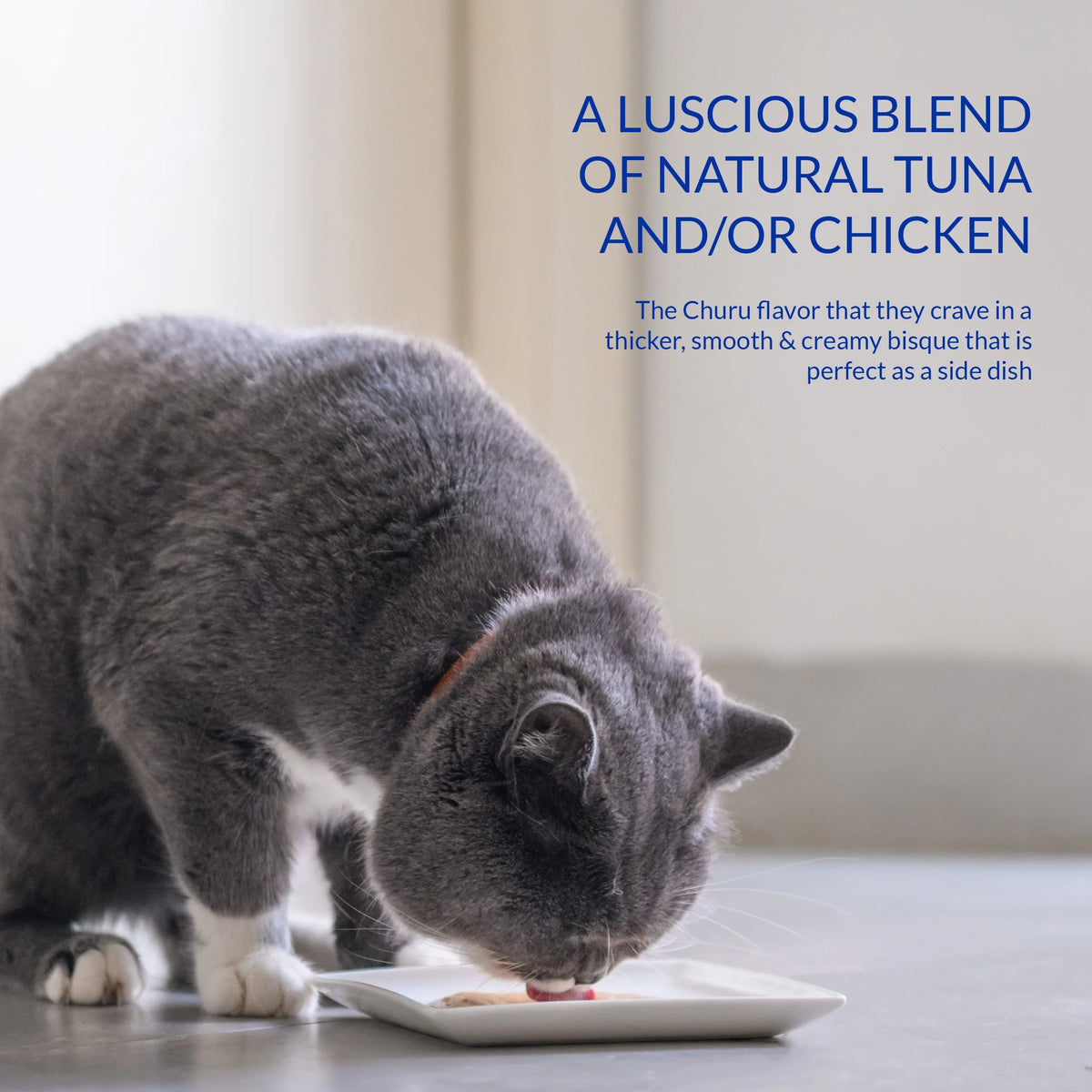 Chicken Cat Treat, 1.4 oz, 12 Servings G681617