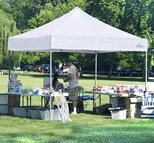 10' x 10' Replacement Canopy Top E74464