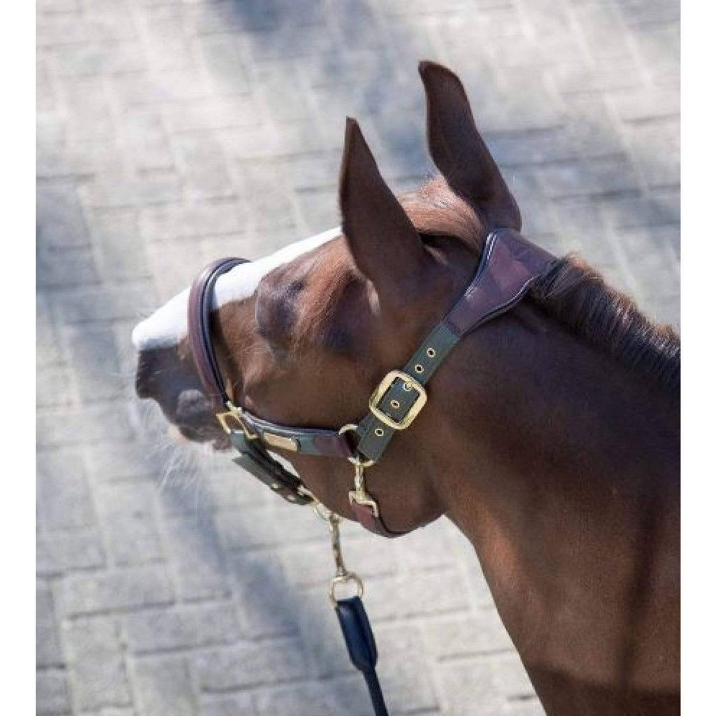 Moss Pony Headcollar C112631