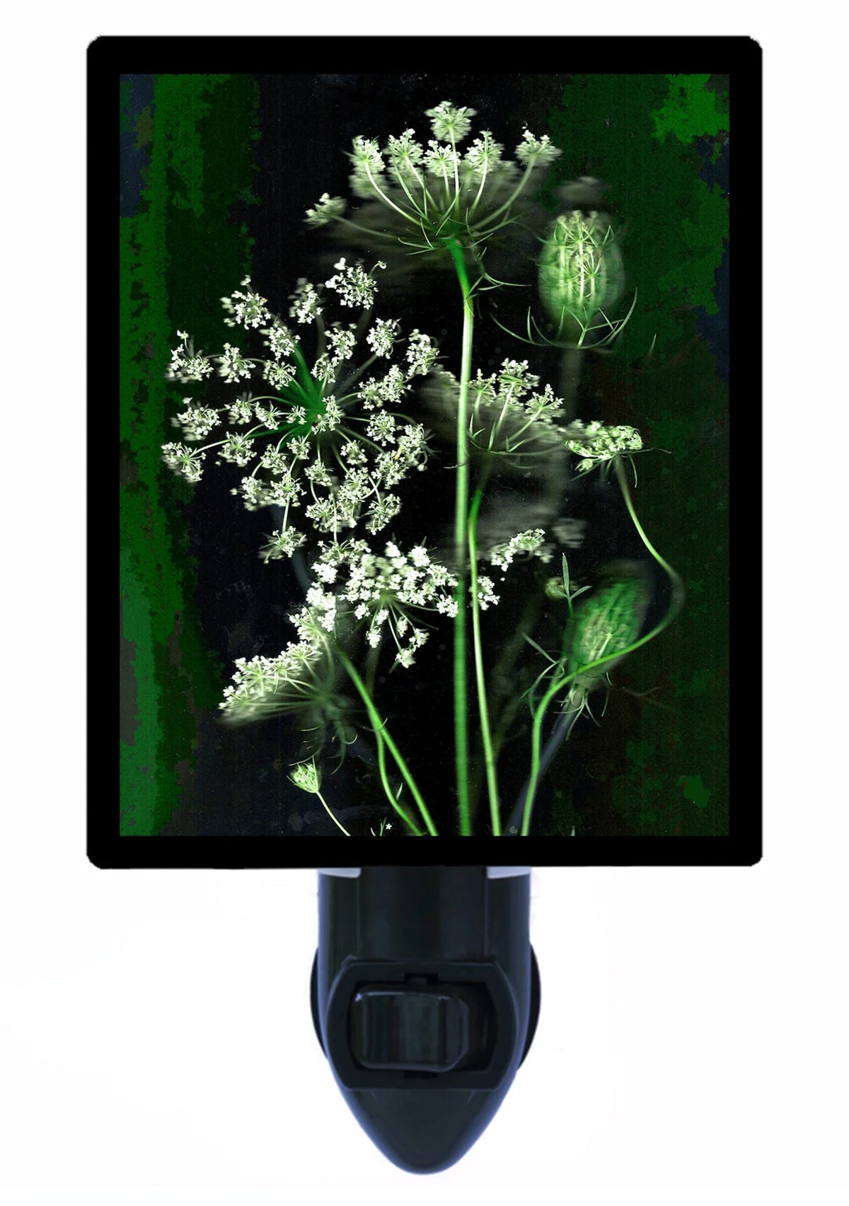 Flower Decorative Photo Night Light with Extra Bulb C9119