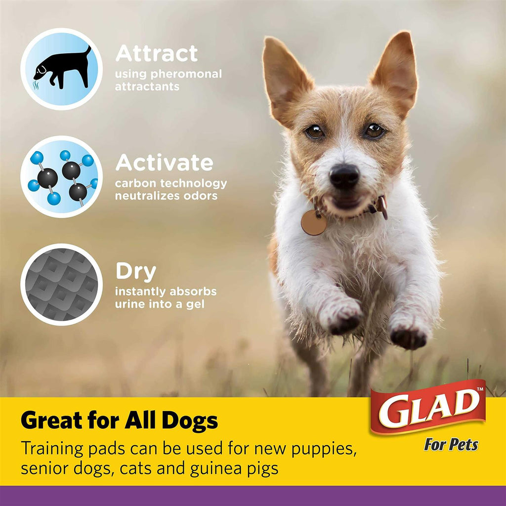 Training Pads Q484369