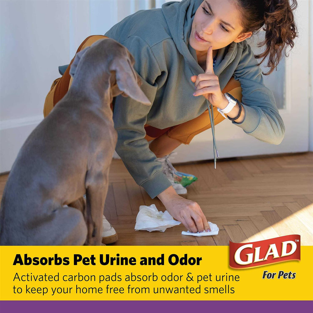 Training Pads Q484369