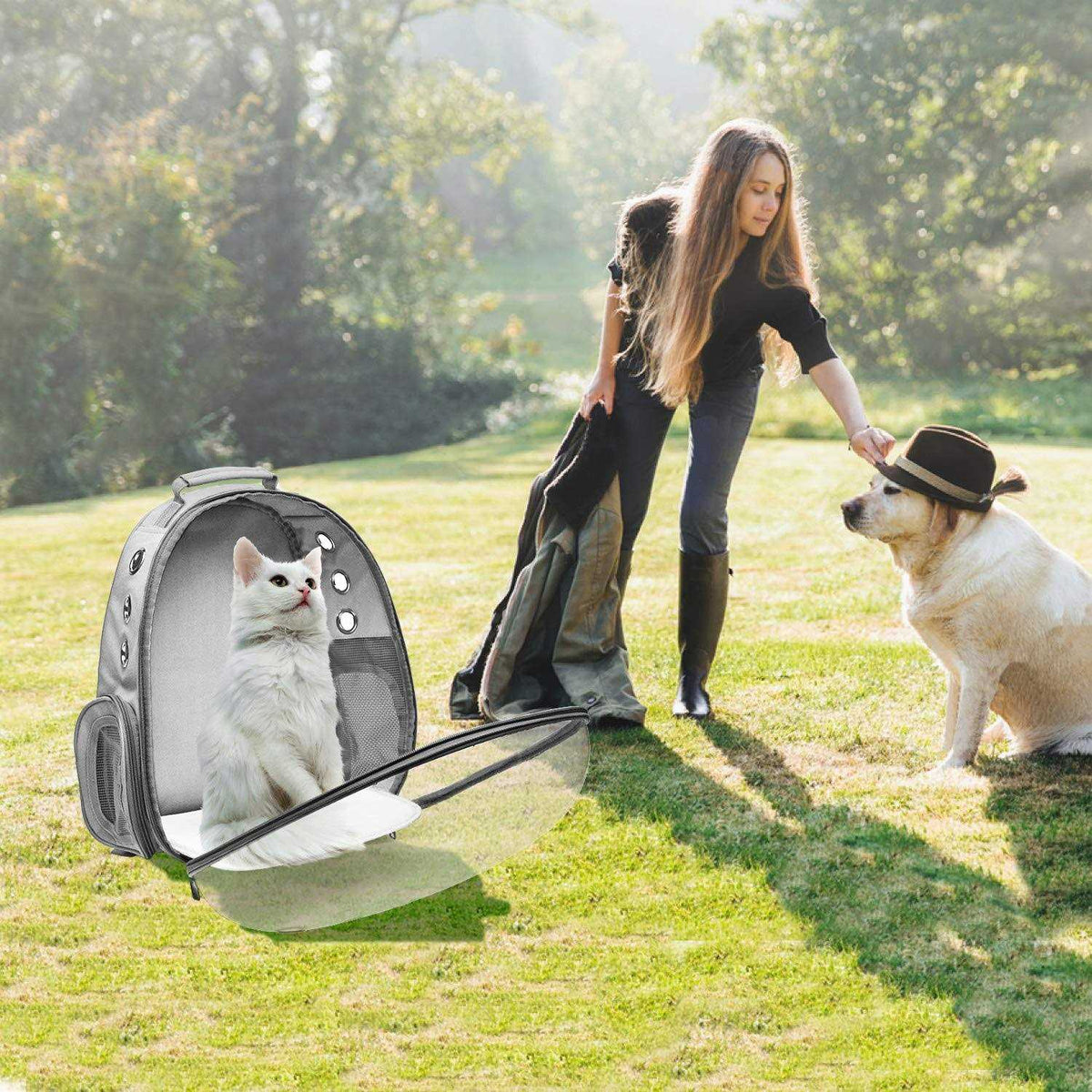 Bubble Carrying Bag for Small Medium Dogs Cats V630