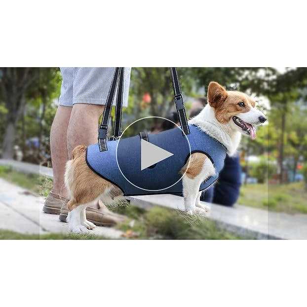 Adjustable Breathable Dog Lift Harness E342877