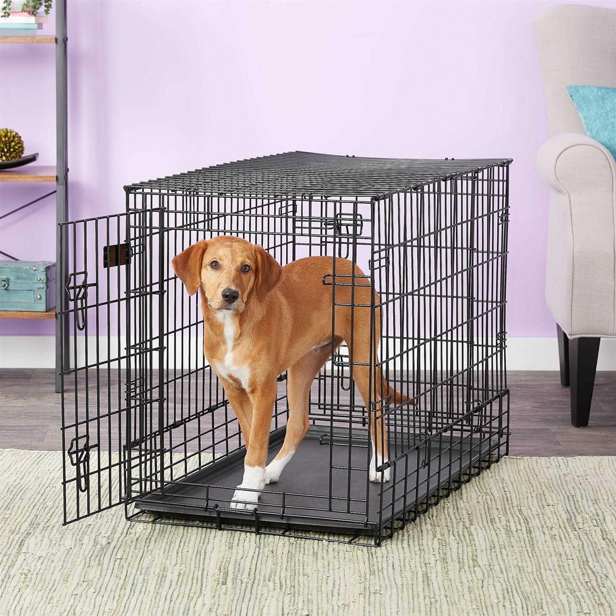 Double Door SUV Dog Crate Q297