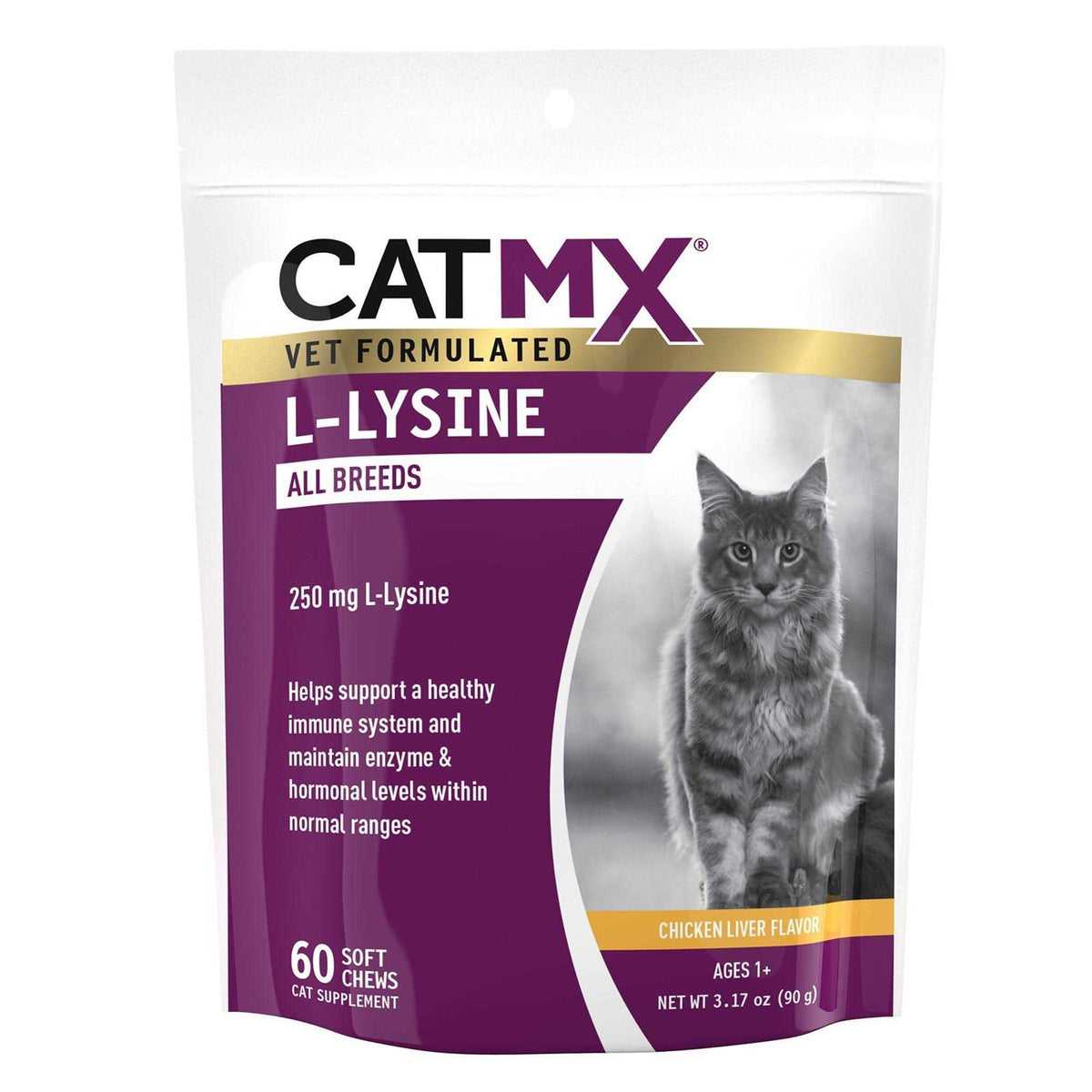 L-Lysine 60 soft Chews S232109