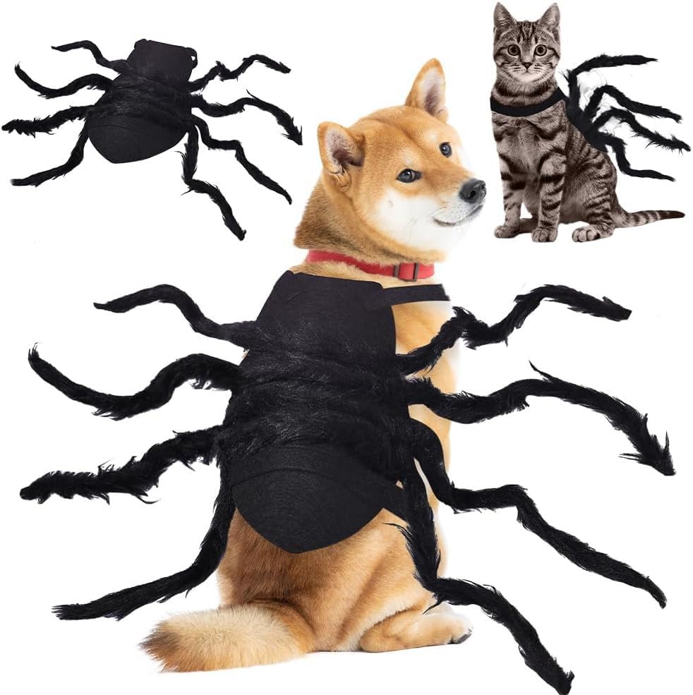 Spider Pet Clothes I561800