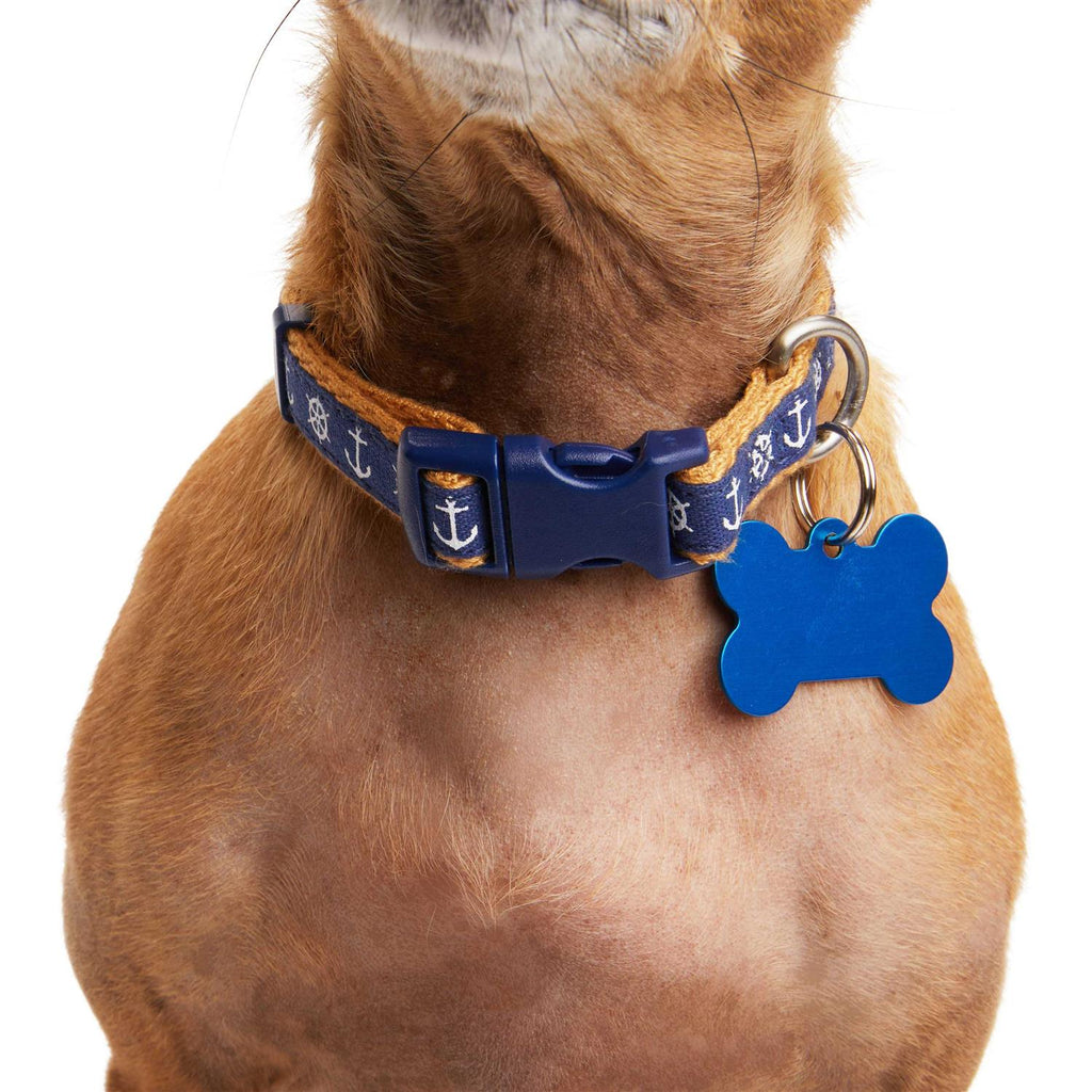 Dog Collar R1360