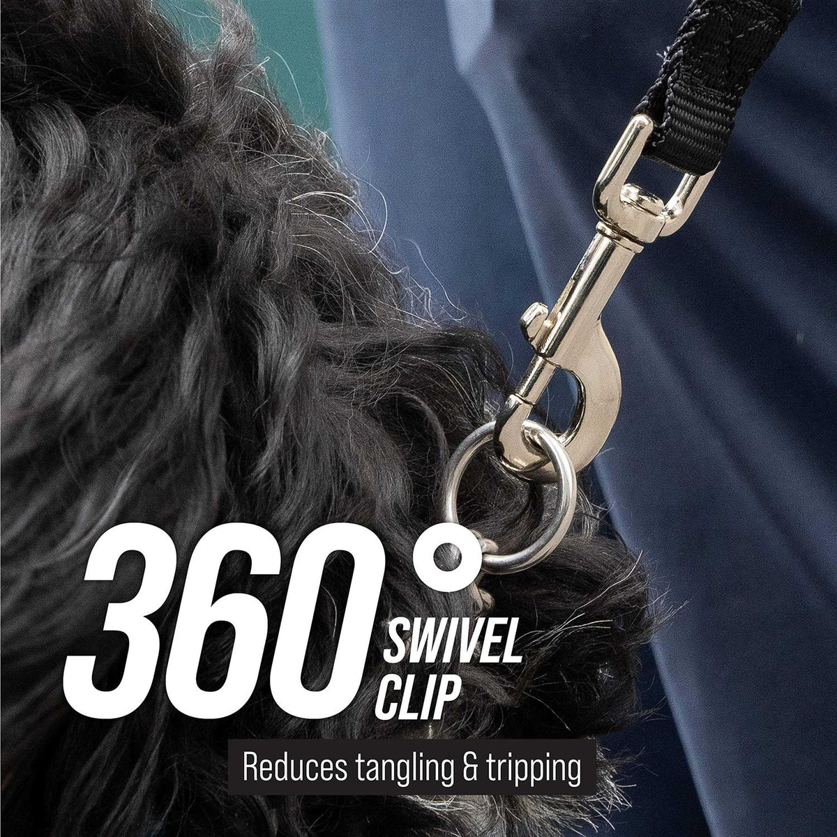 Dog Leash D586