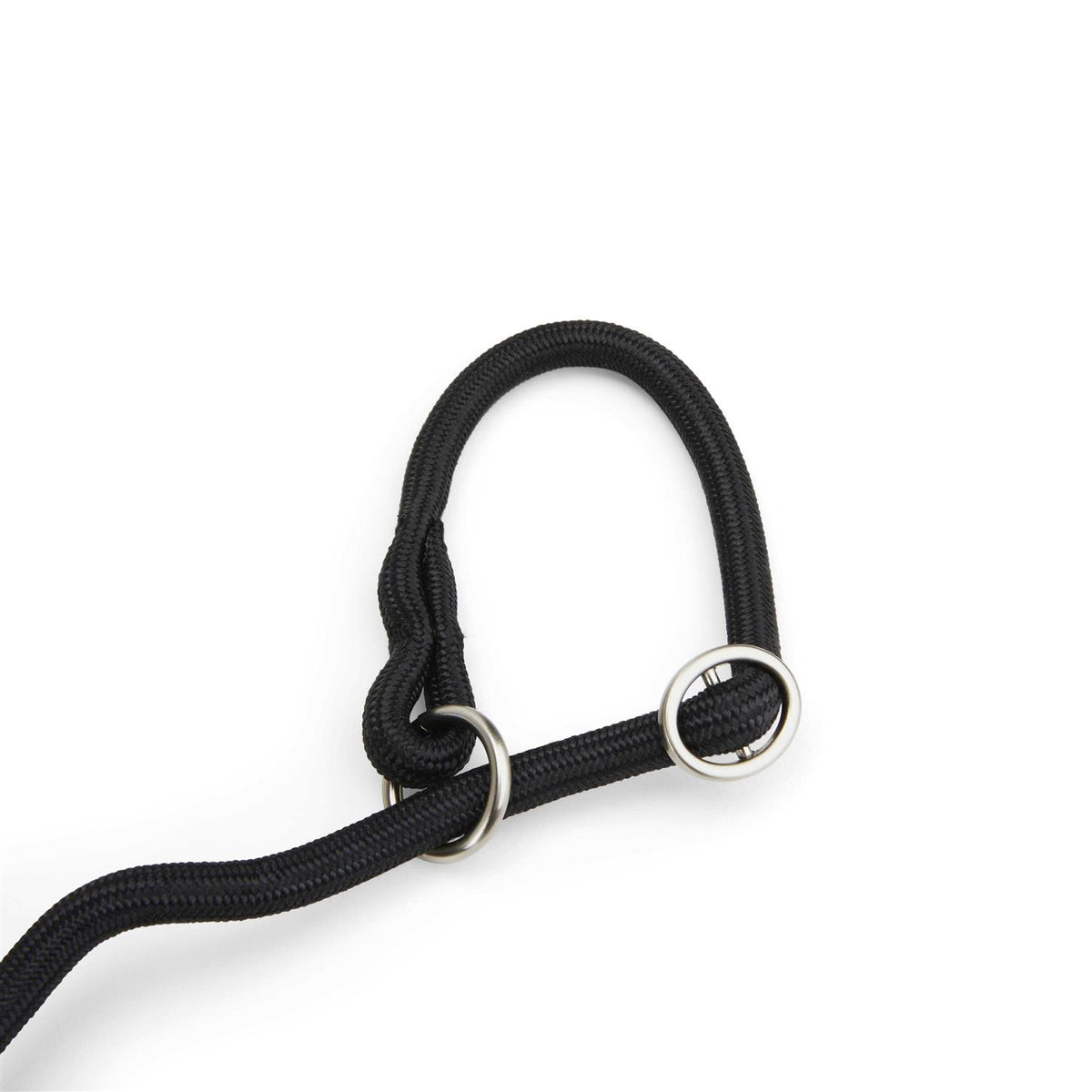 Training Rope Slip Lead for Dogs T272