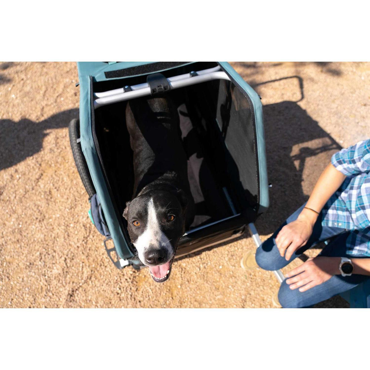Pet Bed K57789