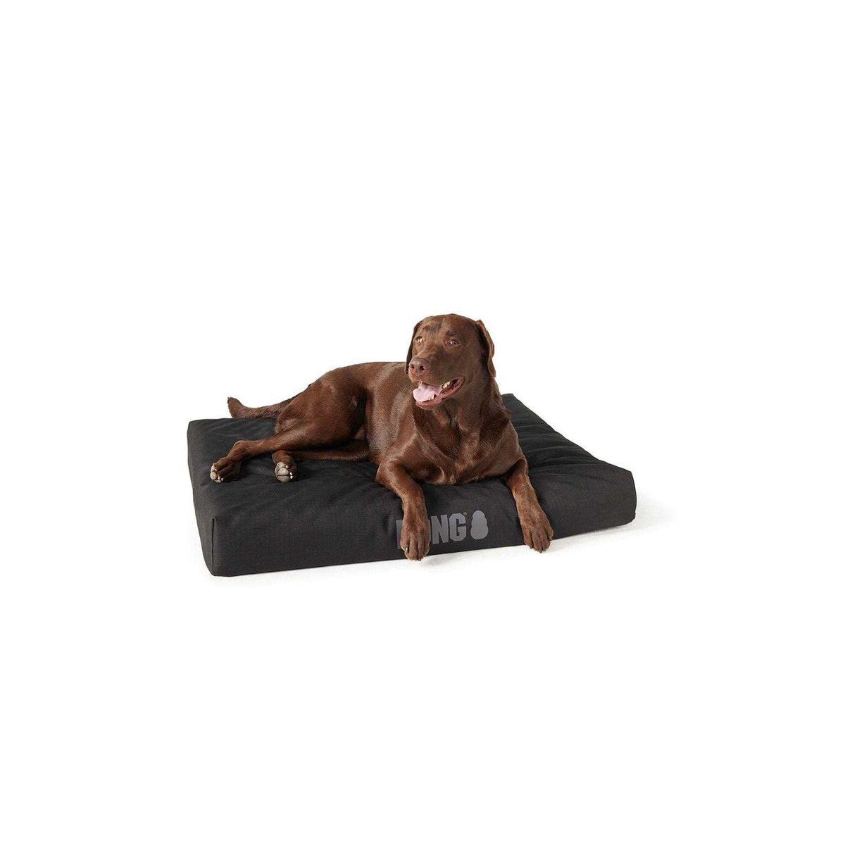 Orthopedic Dog Bed C752
