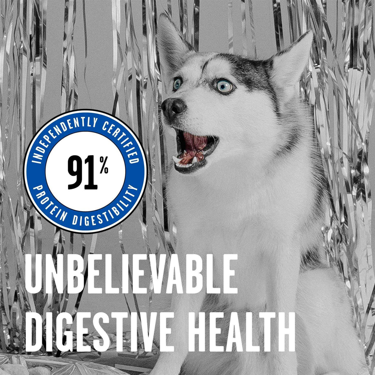 Dry Dog Food W6003