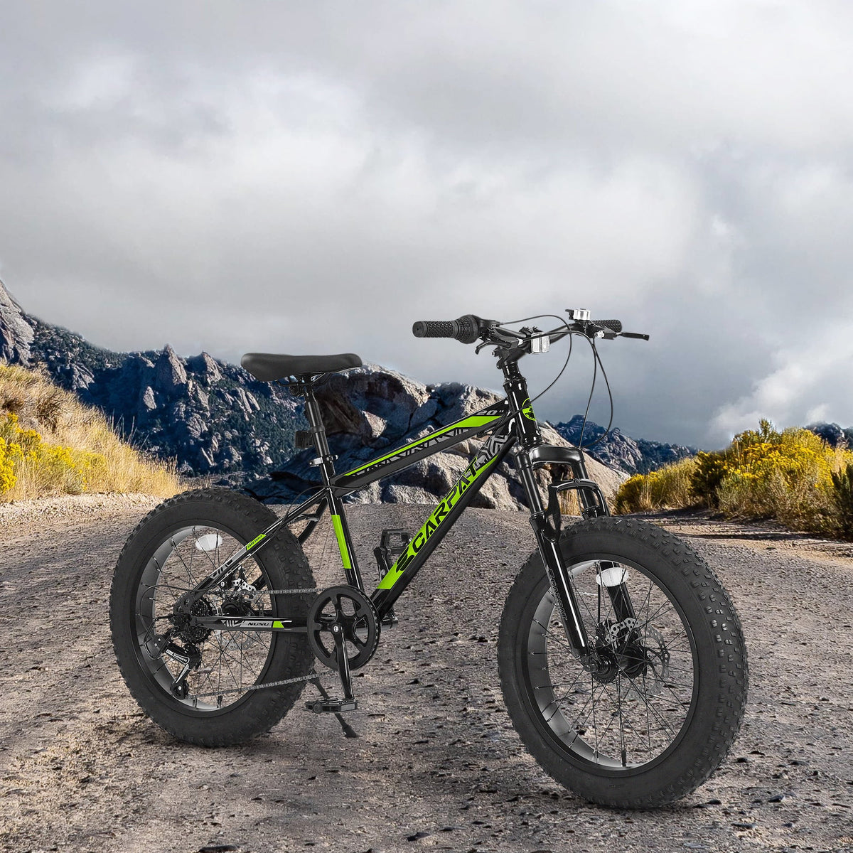 20'' 7 Speed Kids Mountain Bike with 4 inch Fat Tire R119