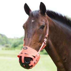 Poly Grazing Muzzle G59877