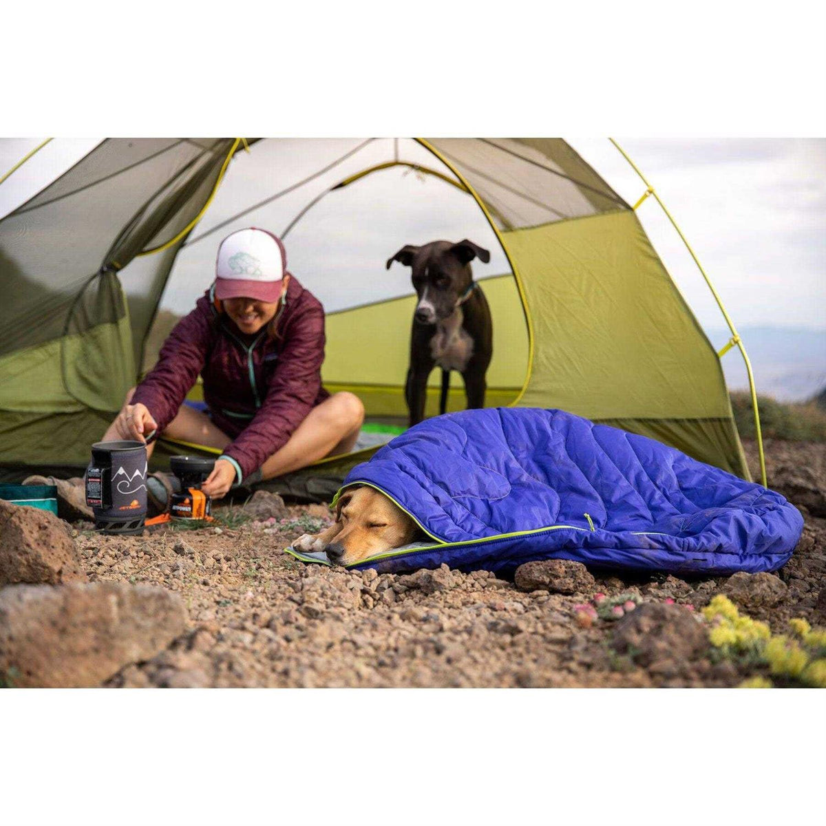 Sleeping Bag Y434882