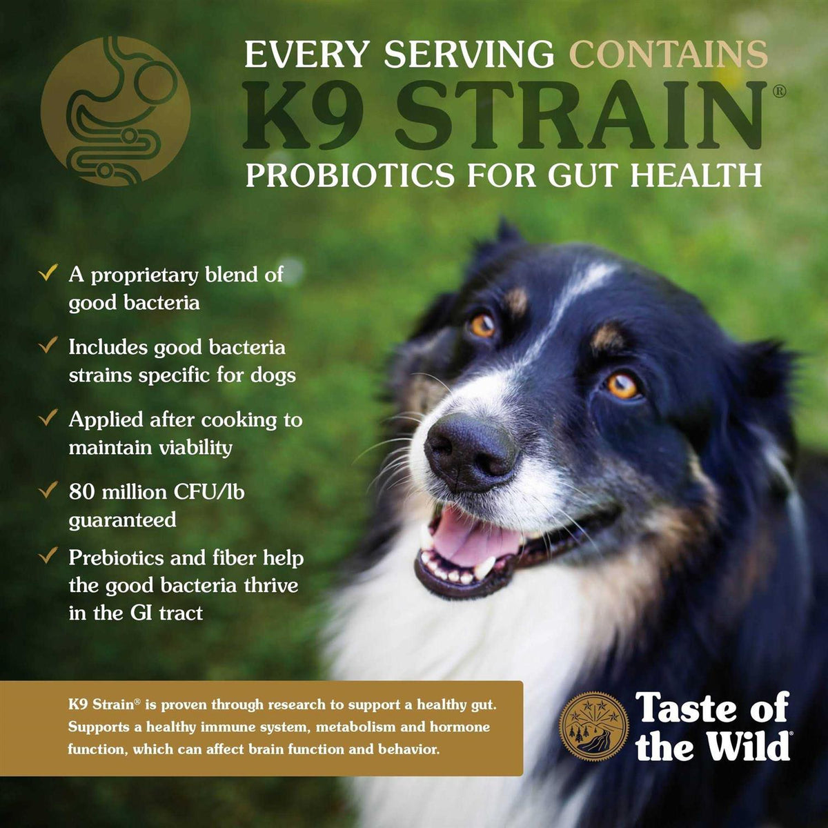 Dog Food N8587