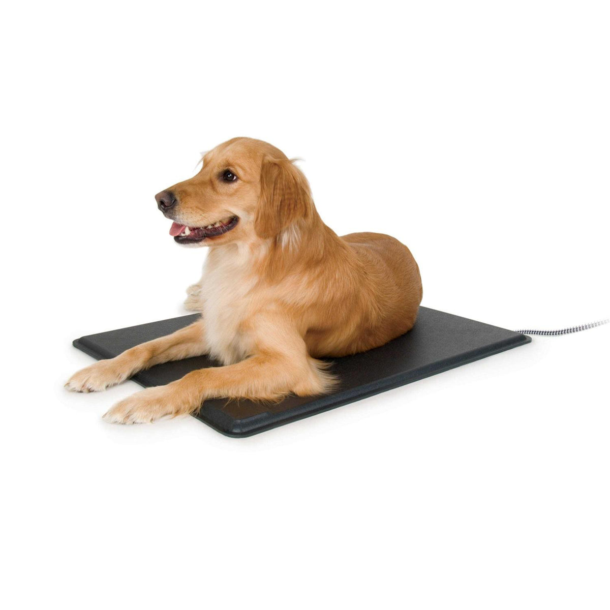 Heated Pet Pad T175232