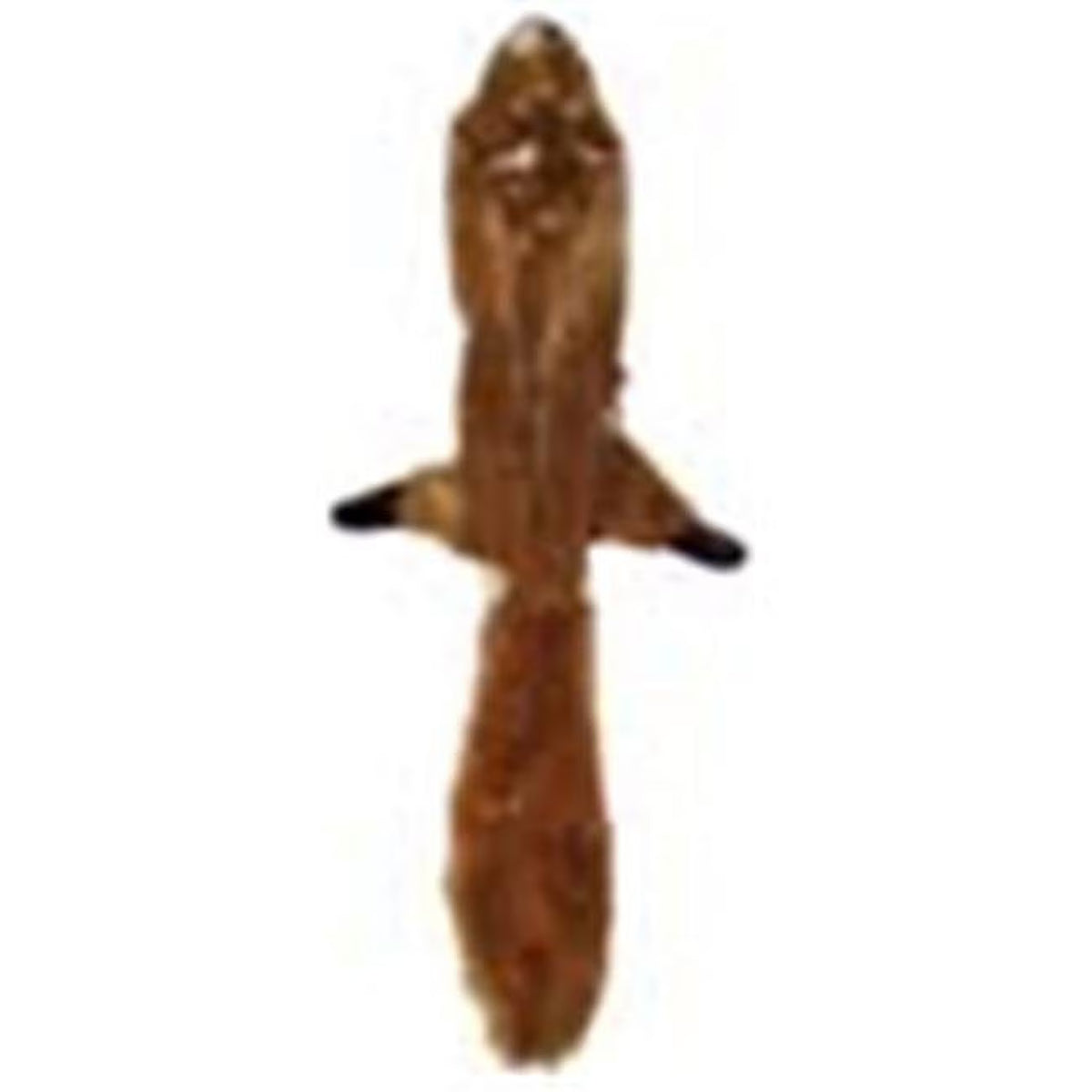 Stuffing Free Plush Squirrel Dog Toy, 13" Z631